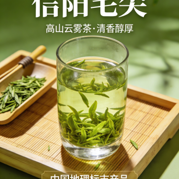 信阳毛尖