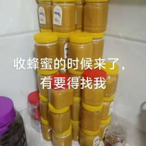 正宗土蜂蜜