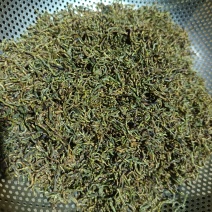 黄茶