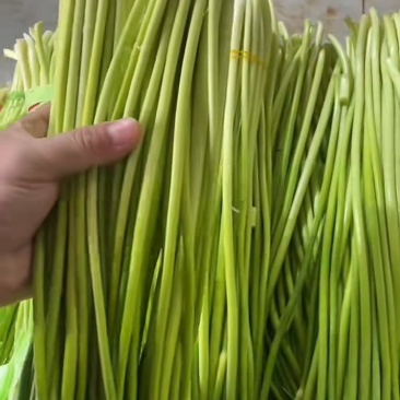 贵州本地蒜苔