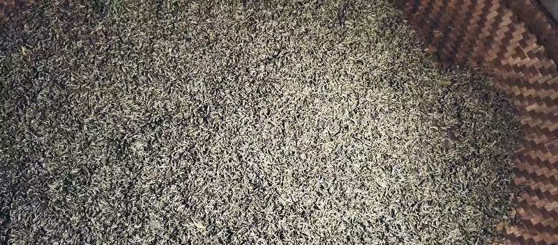 苔茶