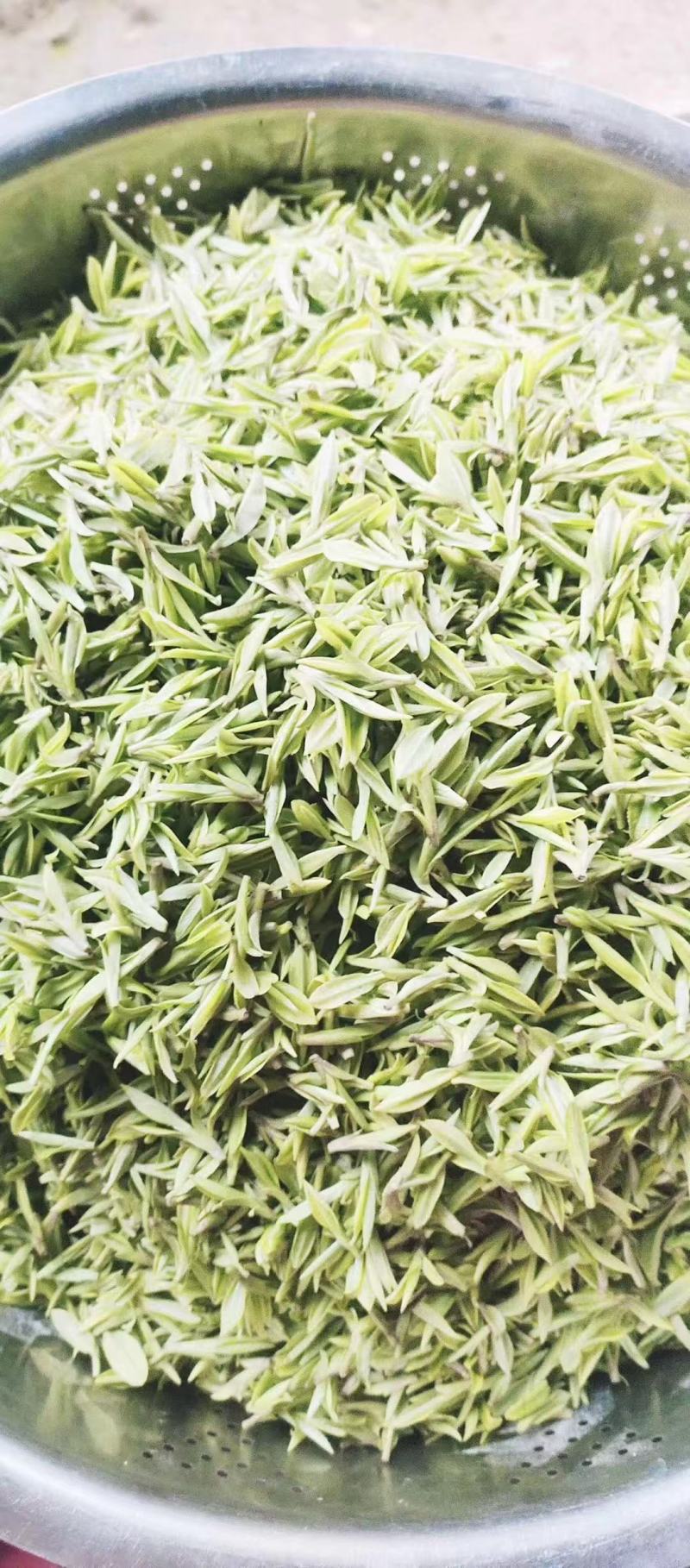 苔茶