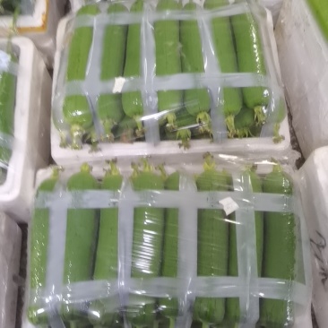 丝瓜