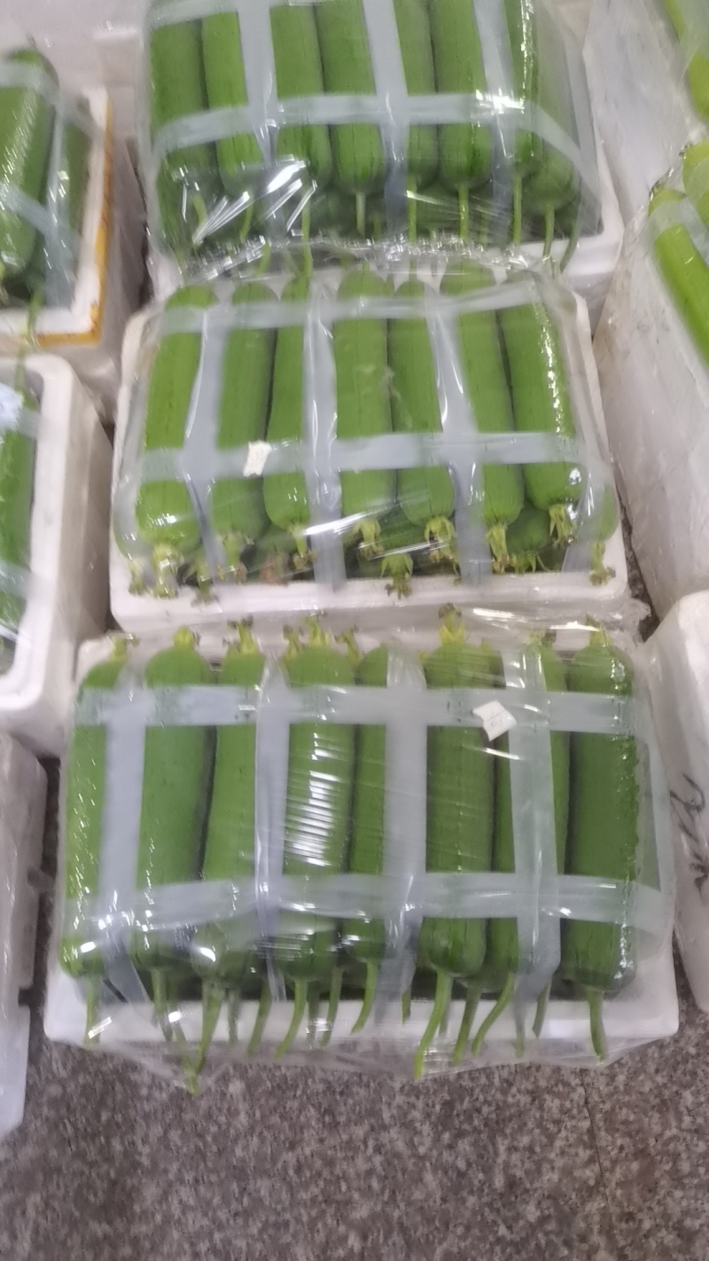 丝瓜