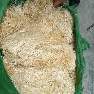 撇菜根