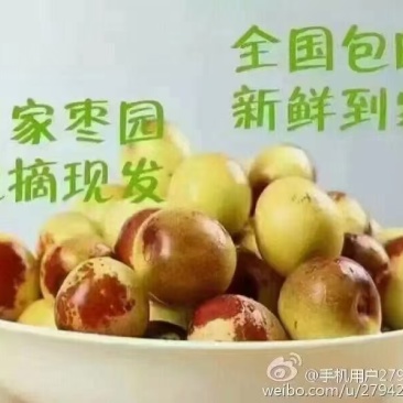 大荔冬枣