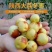 大荔冬枣