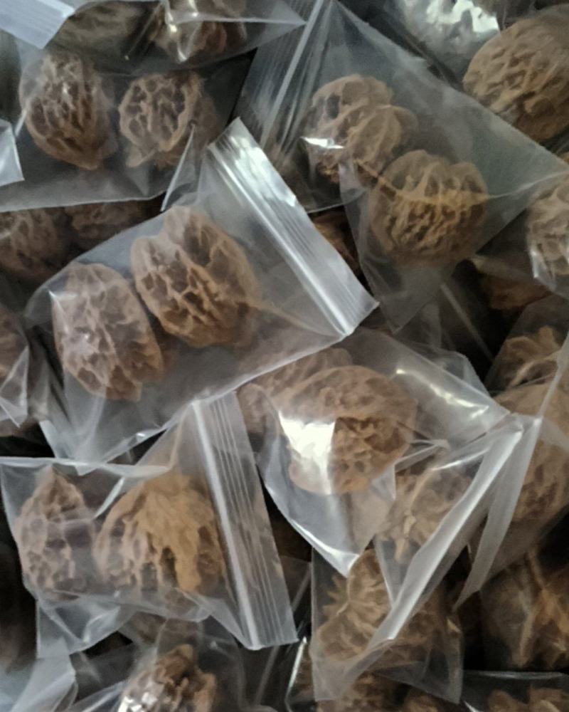 文玩核桃盘山对儿，共200对，一元一对，量大从优