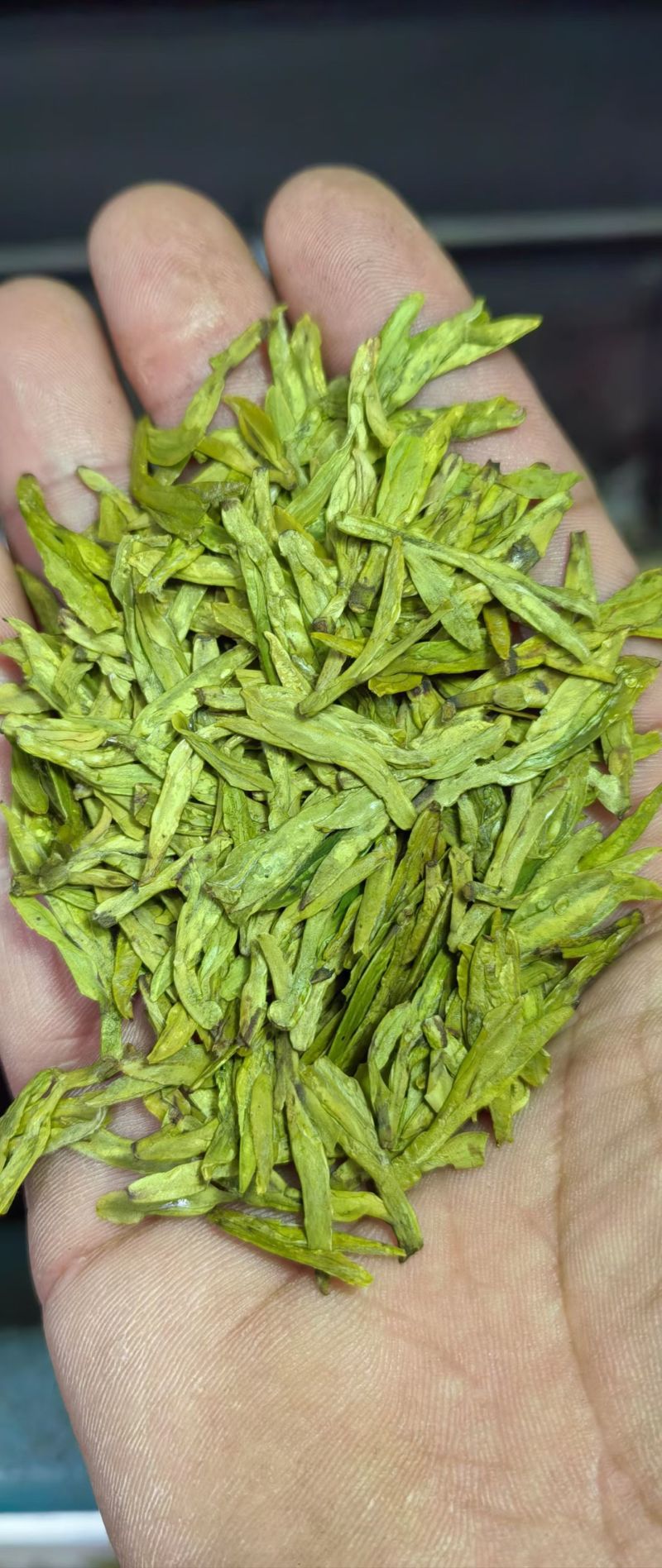 明前龙井扁茶