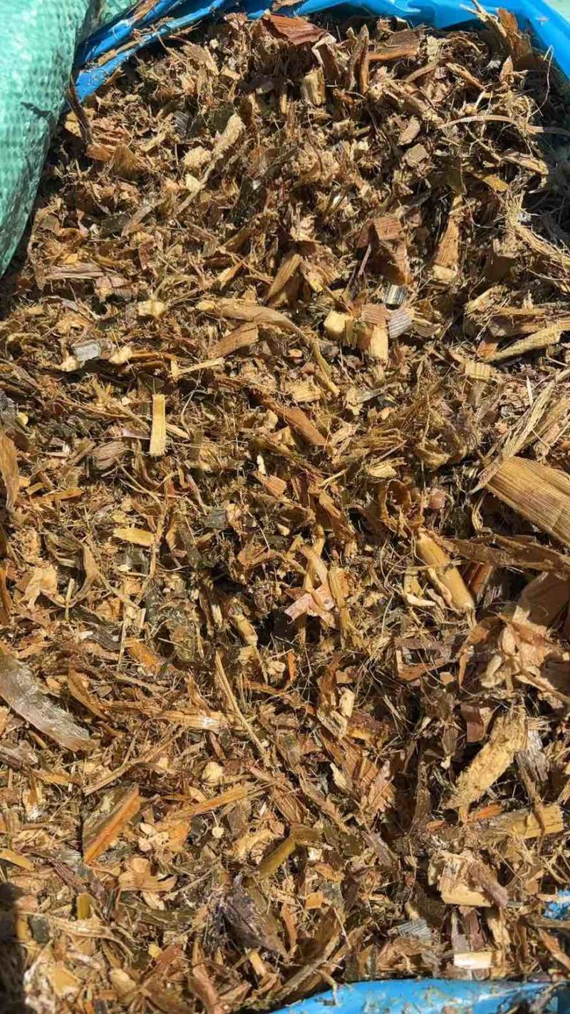 因厂要转型现特价处理2000吨库存黄储.先到先得.