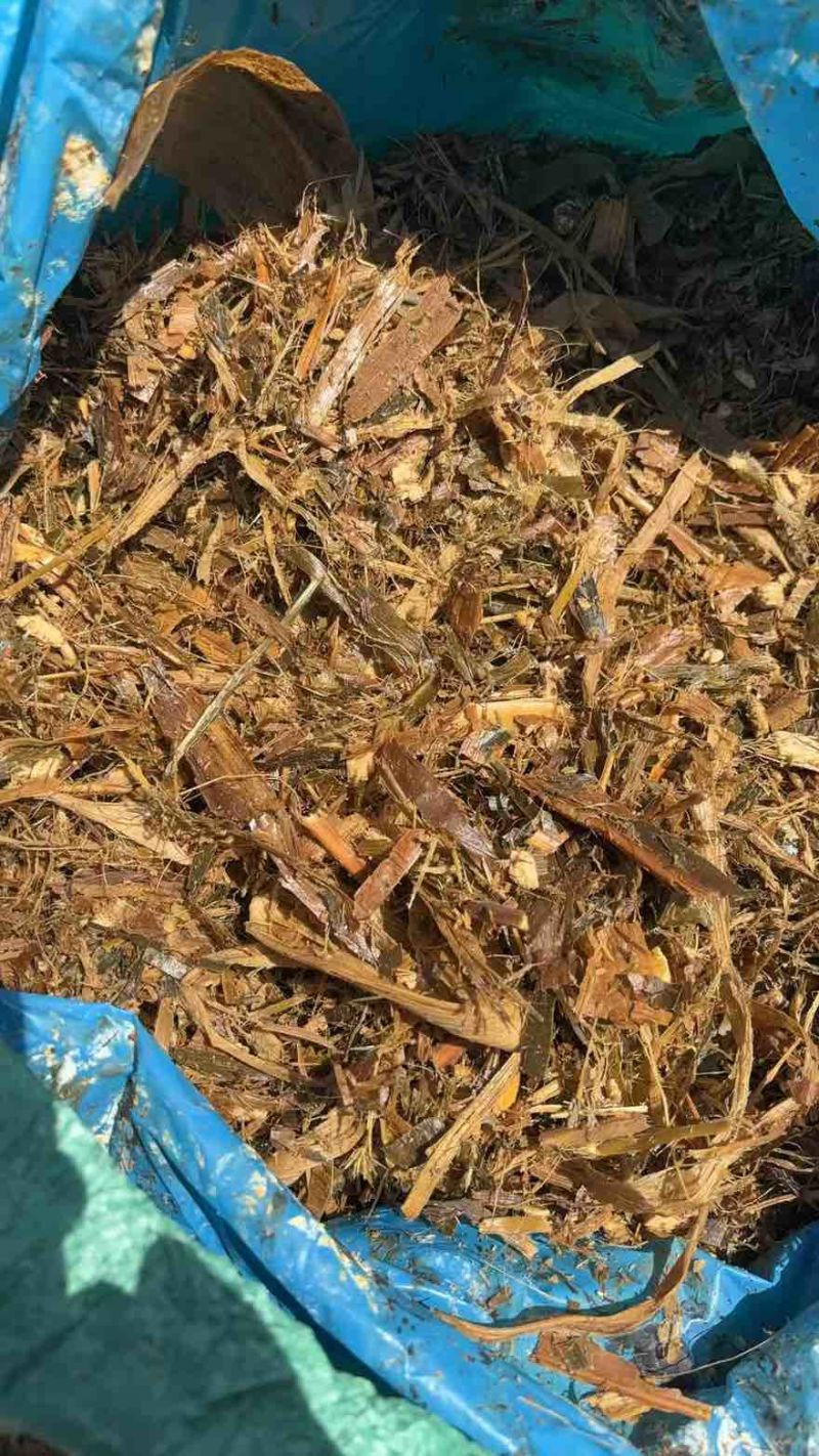 因厂要转型现特价处理2000吨库存黄储.先到先得.
