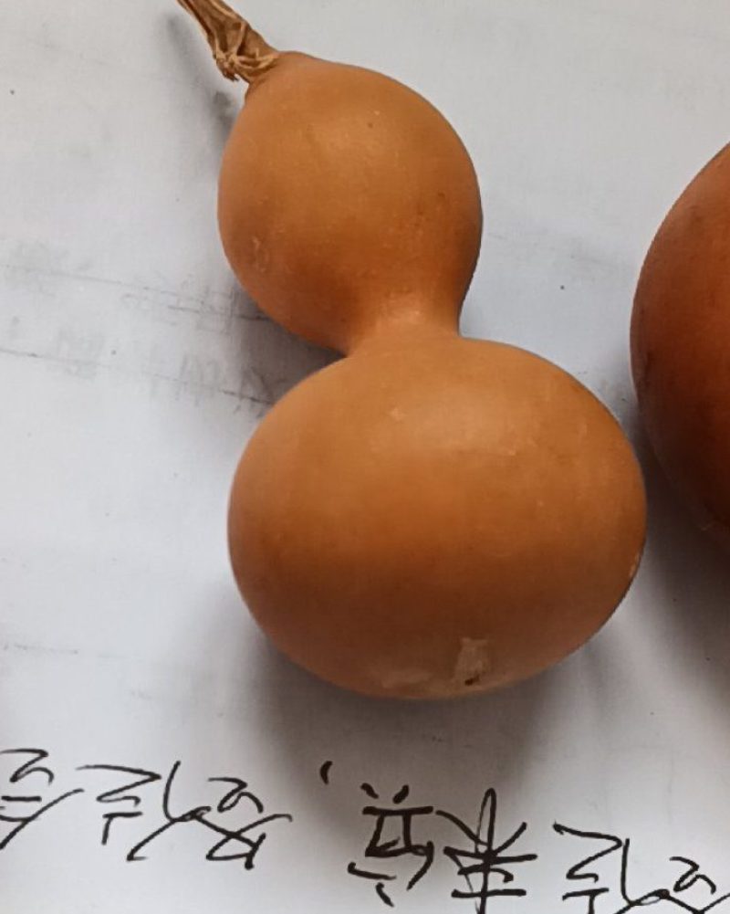 工艺葫芦