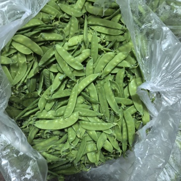 荷兰豆