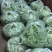 荷兰豆