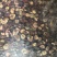 甜红子山楂干***********