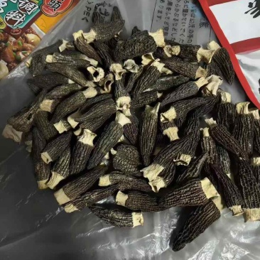 羊肚菌，有通货，有挑好的3到55到77到9