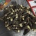 羊肚菌，有通货，有挑好的3到55到77到9