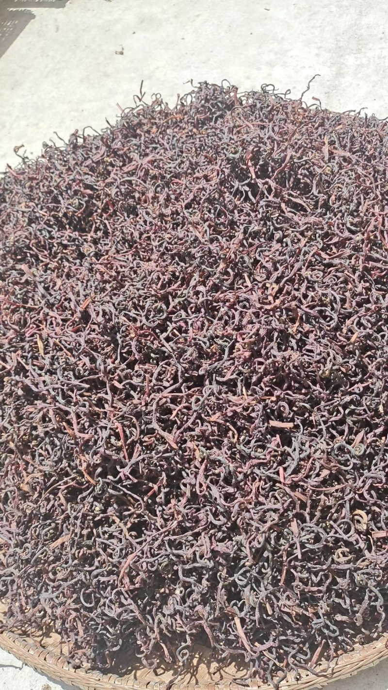 薇菜干
