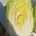 黄心大白菜规格3456