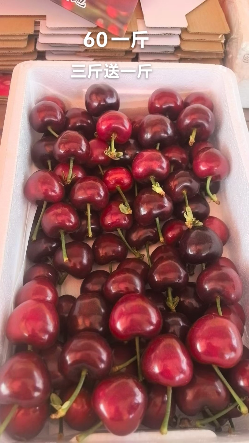 山东大樱桃🍒