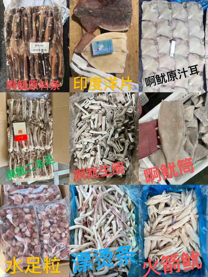 鱿鱼类