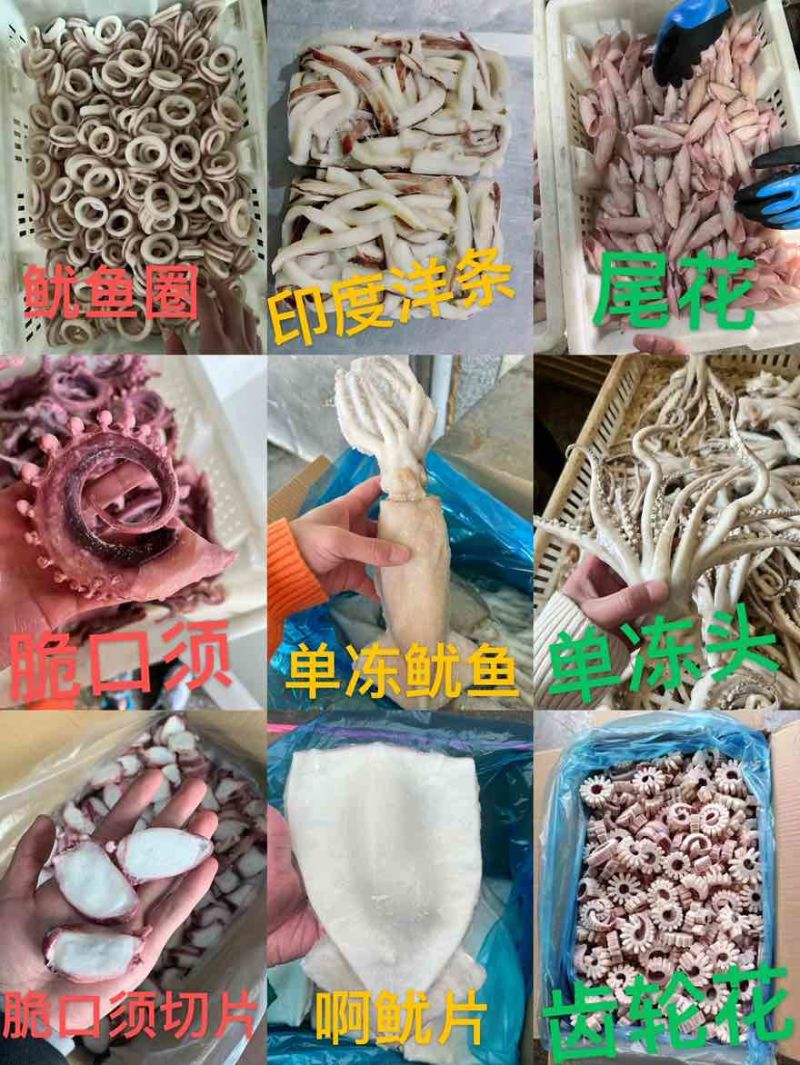 鱿鱼类