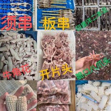 鱿鱼类