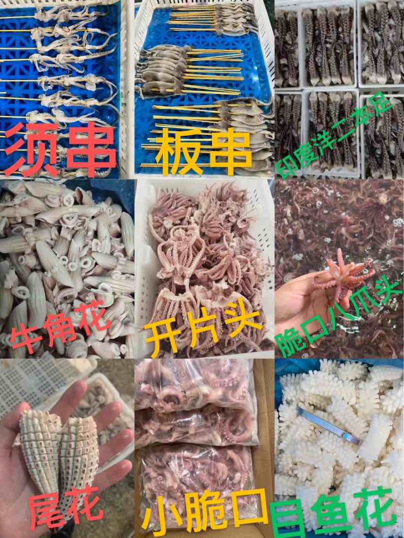 鱿鱼类