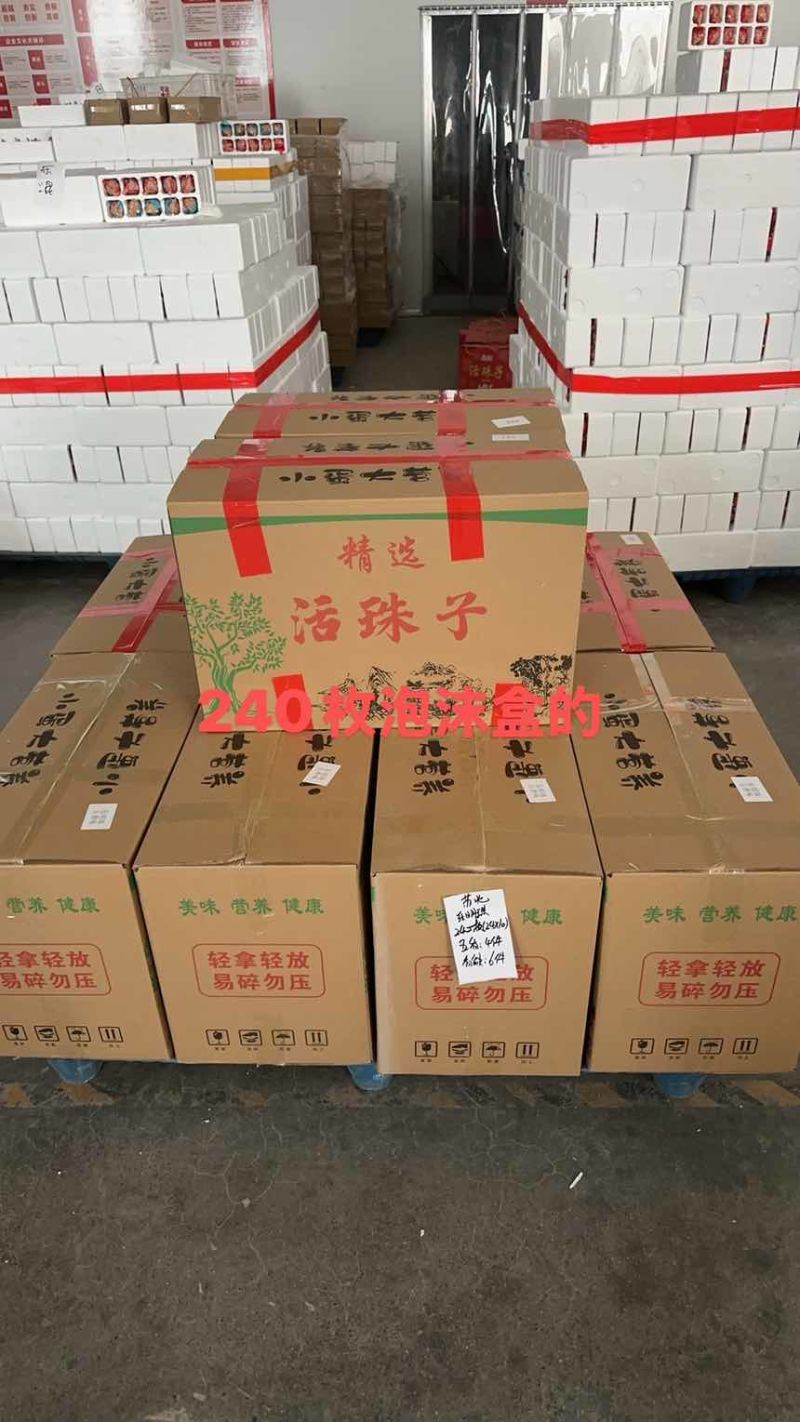 活珠子