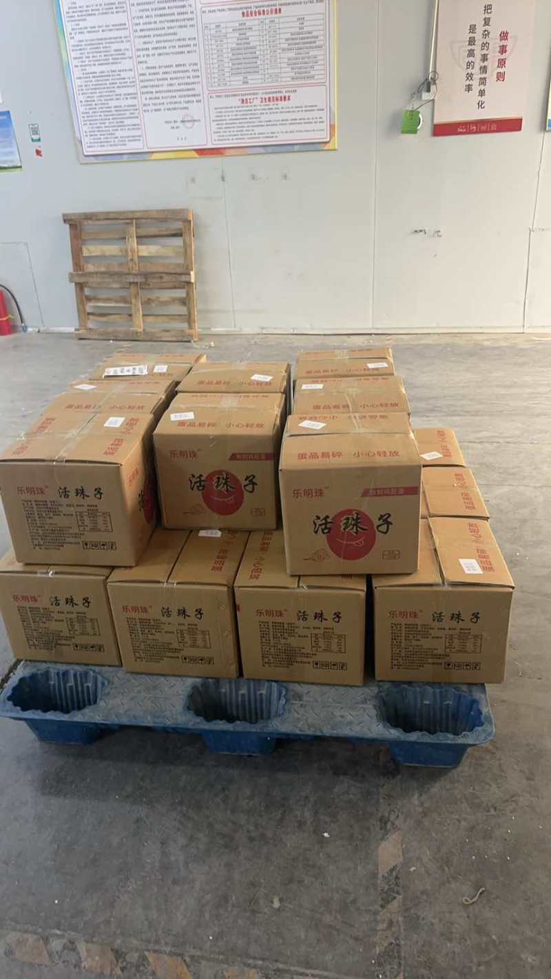 活珠子