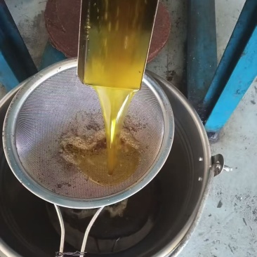 茶籽油