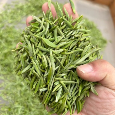 茶叶