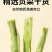 云南头茬贡菜