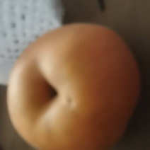 梨子