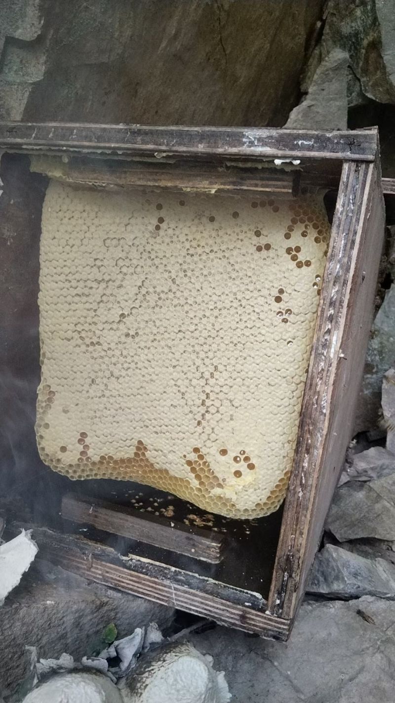 蜂蜜