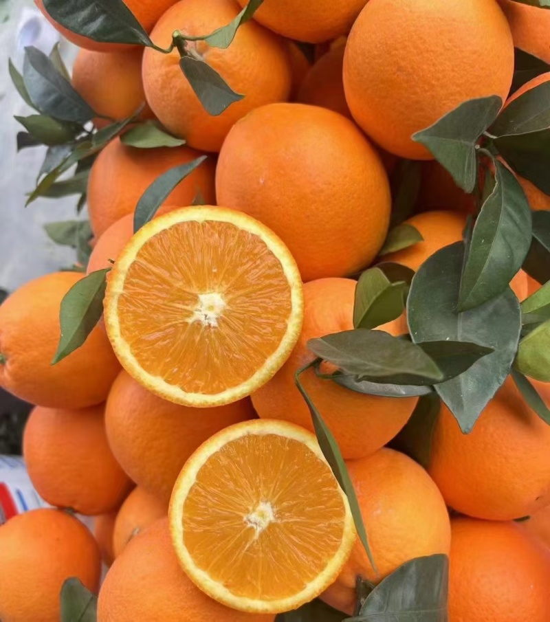 重庆巫山晚橙🍊🍊