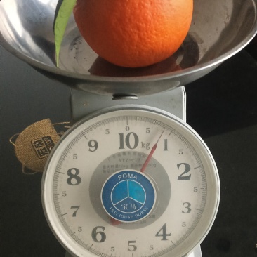 重庆巫山晚橙🍊🍊