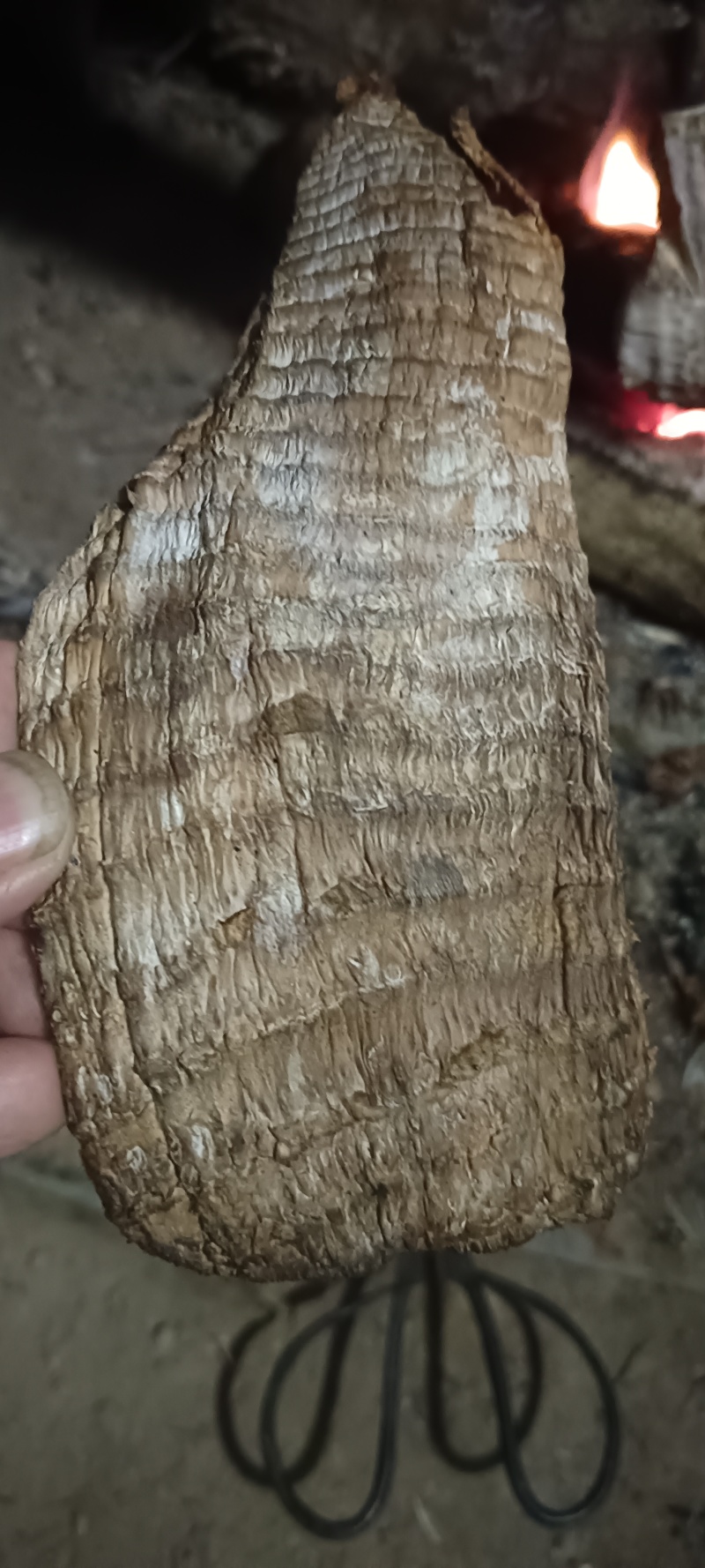 湖南永州干笋