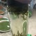 2026新茶春茶西湖龙井种清溪高山种植茶农直销茶叶