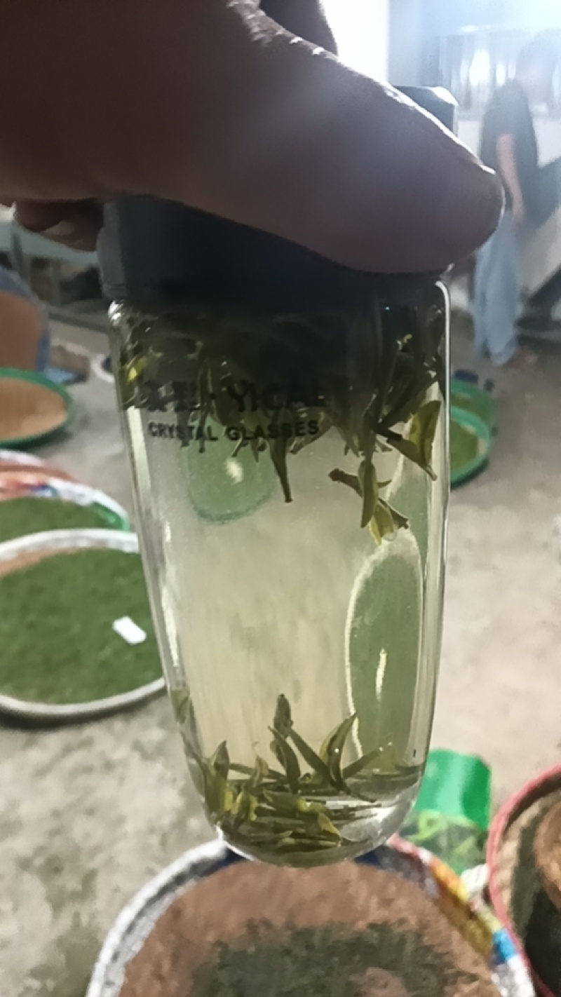 2026新茶春茶西湖龙井种清溪高山种植茶农直销茶叶