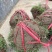 广东草皮基地直供市政工程专用草坪量大价优