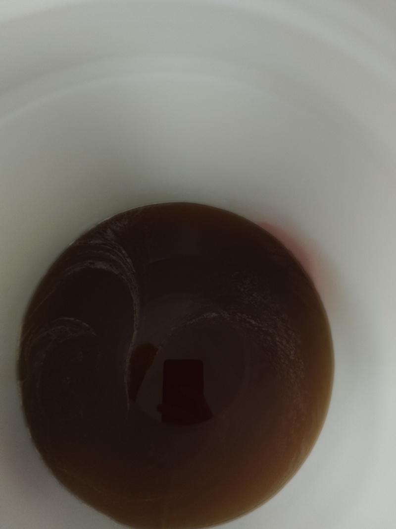 自家养土蜂蜜