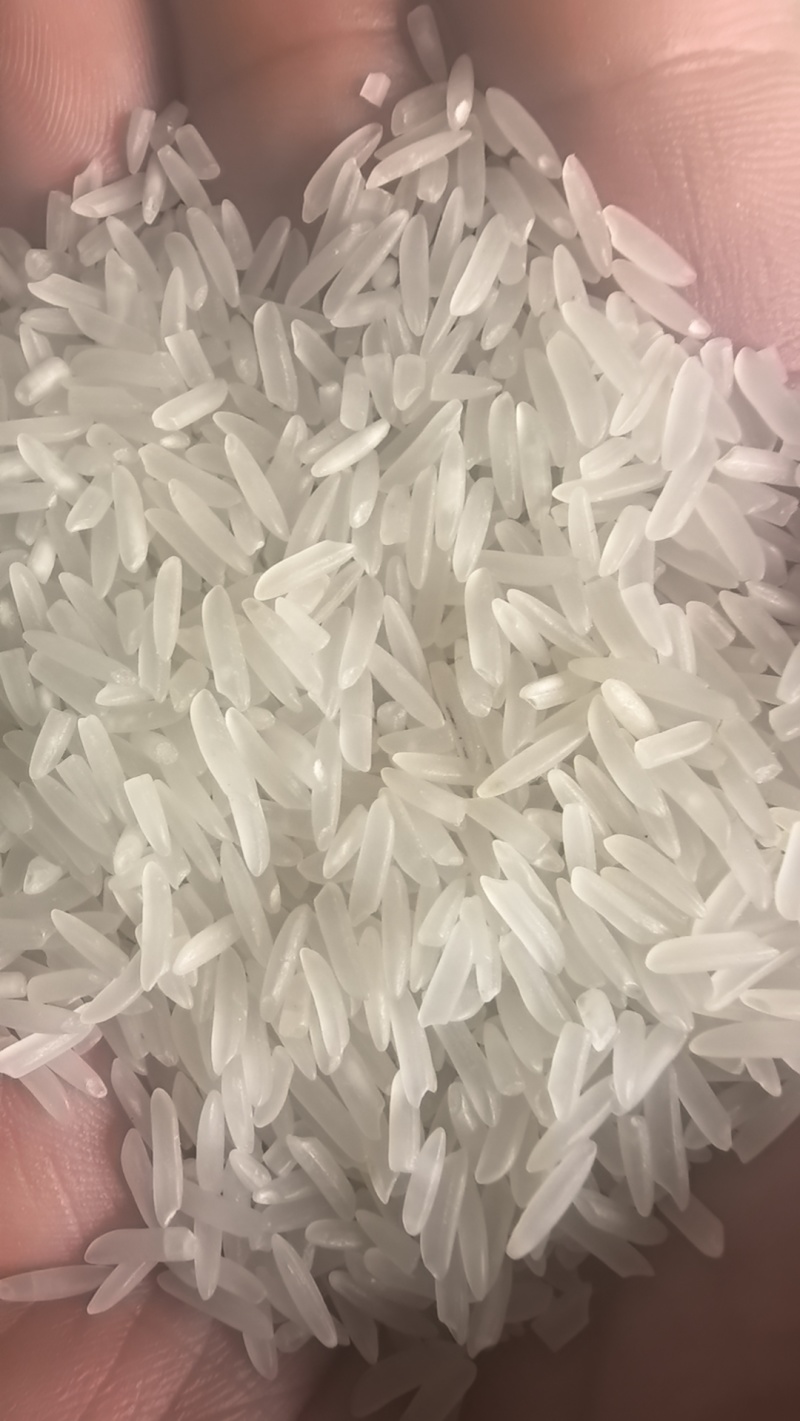 江西优质香米，厂家直销批发问个稳定货源，常年不断货