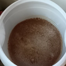 土蜂蜜