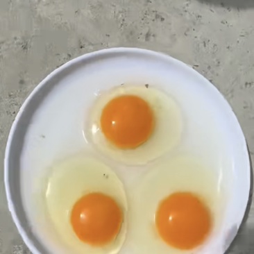 36/37红心农一便宜好货联系***********