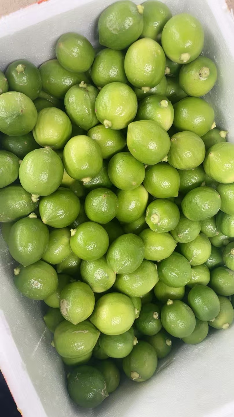 香水柠檬