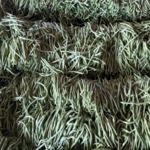 对接各种商超，各大市场，各大电商品牌
