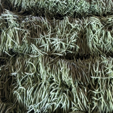 对接各种商超，各大市场，各大电商品牌