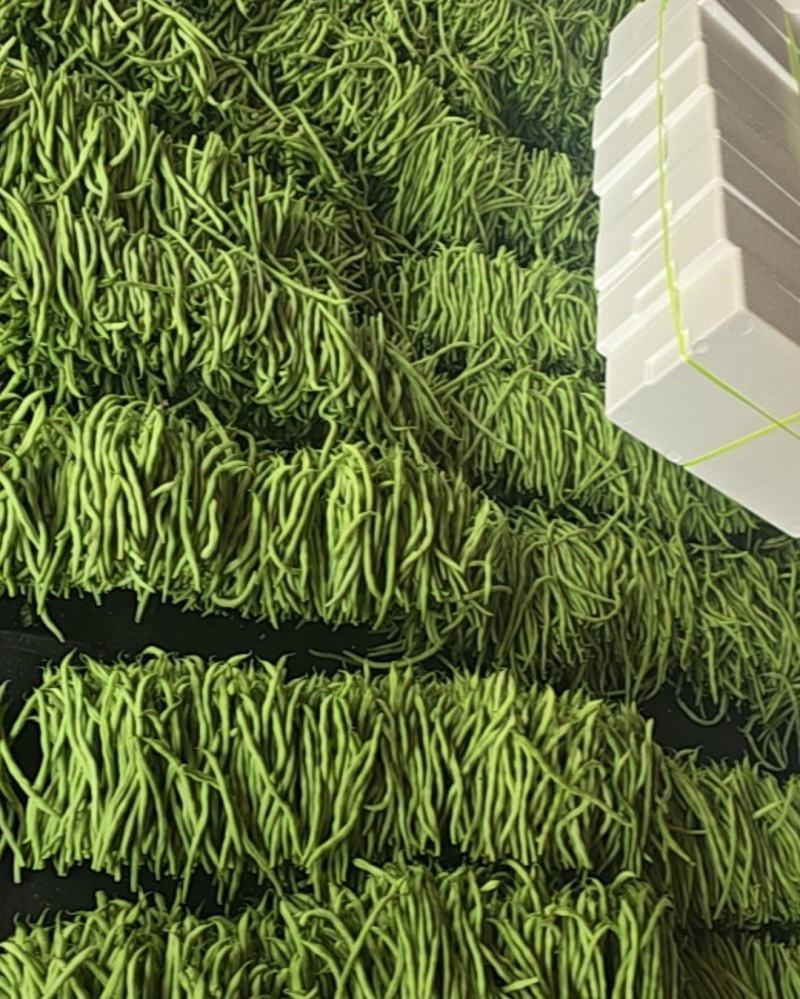 对接各大商超，电商平台各大市场。