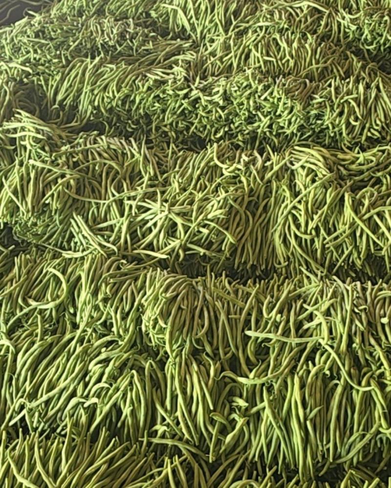 对接各大商超，各大市场，各大电商平台。
